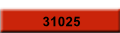 31025